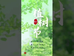 رولر حمل کننده اکسید آلومینیوم